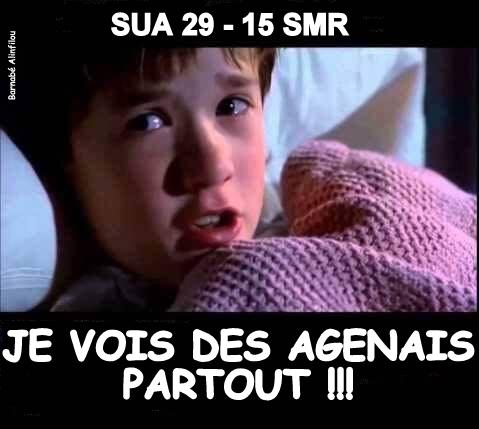 403sv-agen.jpg